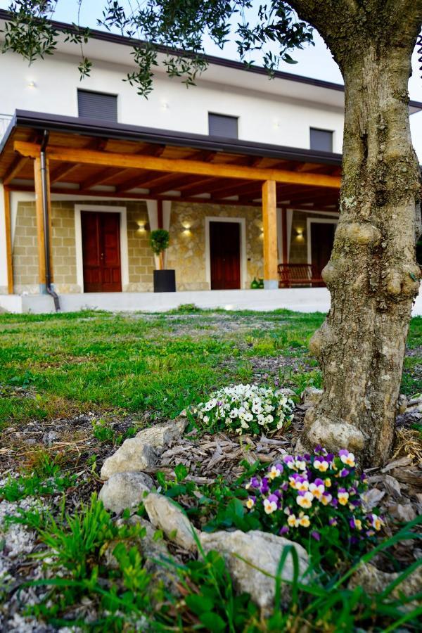 Alvignano Atomos Bed & Breakfast エクステリア 写真